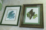 2 for 1 FRAMED ART: 1978 AUSTRALIAN BIRD LITHOGRAPHS FROM “PARROTS OF THE WORLD” BY BILL COOPER PROFESSIONALLY MATTED AND FRAMED IN UNIQUE SIGNED HAND PAINTED FRAMES 21" X 17" DESIGNER WALL ART DÉCOR DFPN71 & 72