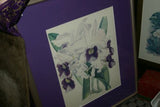 Lindenia Limited Edition Print: Laeliocattleya x Gottoiana Hort (Magenta) Orchid Collector Art (B5)