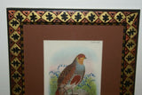 19th Century Partridge ANTIQUE AUTHENTIC 1897 ORIGINAL PRINT from LLOYD'S NATURAL HISTORY BY BOWDLER SHARPE EDWARD LLOYD LIMITED, MATTED AND FRAMED PROFESSIONALLY IN UNIQUE HAND PAINTED FRAME SIGNED BY ARTIST.