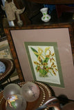 Lindenia Limited Edition Print: Yellow Galeandra Flaveola Orchid Collector Art (B1)