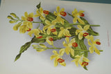 2 Lindenia Prints Limited Edition: Phaius Maculatus & Peristeria Lindenia Orchid