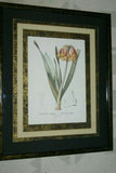 REDOUTE CYRTANTHUS KNYSNA LILY HAND PAINTED SIGNED FRAME 4x MATS FLOWER PRINT