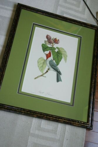 Professionally Triple Matted & in Hand-painted Frame 25.5