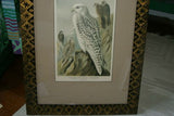 OVER 100 YEARS OLD RARE ANTIQUE ORIGINAL 1896 KEULEMAN’S FALCON FOLIO CHROMOLITHOGRAPH CHROMO NAUMANN MATTED AND CUSTOM FRAMED IN UNIQUE DETAILED CUSTOM HAND PAINTED FRAME SIGNED BY ARTIST WALL ART DECOR