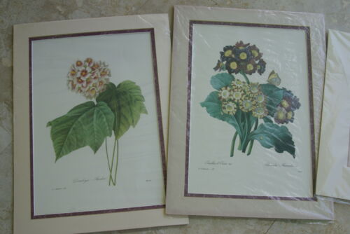 4 Double Matted Redoute Floral & Angel Art Prints 120.00 retail value Wall Decor