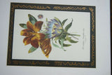 SIGNED DETAILED ARTIST HAND PAINTED FRAME MATS REDOUTE PRINT RE8 WATERLILY LIS