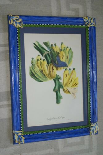 Professionally Matted & Framed in Hand-painted Frame 23”x 16” VERY RARE Authentic Limited Edition 1960 Descourtilz Folio of Tropical Archbishop Tanager or Tachyphone Archeveque Bird Plate 35 from Brazil (DES13)