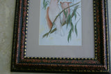 21,5"X 17” 1955 GOULD  PINK COCKATOO BIRD FOLIO LITHOGRAPH FRAMED IN SIGNED DETAILED ARTIST HAND PAINTED FRAME AND MAT TO ENHANCE THE ART WITHIN GORGEOUS DFPN80A DESIGNER WALL ART DÉCOR