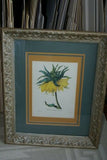 Framed Limited Edition Art Redoute Fritilaire Imperiale Print Home Wall Design