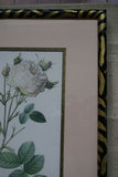 SIGNED UNIQUE DETAILED ARTIST HANDPAINTED FRAME MATTED REDOUTE PRINT ROSES RE6
