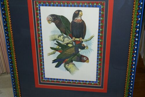 1978 AUSTRALIAN BIRD LITHOGRAPH FROM “PARROTS OF THE WORLD” BY BILL COOPER PROFESSIONALLY (X5) HAND PAINTED MATS AND FRAMED IN UNIQUE SIGNED HAND PAINTED FRAME 27