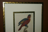 Barraband Archival Art Limited Edition 94/950 Folio Lithograph Printed on the highest archival quality heavy woven stock available, in hand painted mats (3) & HP. signed Frame: Lori Parrot  24 ½” X 20”