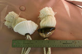 2 very large Banded Tun Tonna Sulcosa & Spotted Cowry Seashell Tassels, Pulls, Oceanic Art, South Pacific Home Decor Accent, Handcrafted Unique perfect for Designer Decorator Shell Collector Beach Lover Vacation Feel Pool Cabana