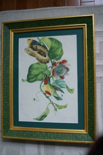 Professionally Matted & Framed in Hand-painted Frame 19”x 15” VERY RARE Authentic Limited Edition 1960 Descourtilz Folio of Tropical Orange-Breasted Barbet or Cabezon Elegant Bird Plate 13 from Brazil (DES12)
