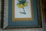 Framed Limited Edition Art Redoute Fritilaire Imperiale Print Home Wall Design