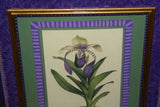 Lindenia Limited Edition Print: Cattleya Percivaliana Reichenbachi (Fushia with Yellow Center) Orchid Collector Art (B1)