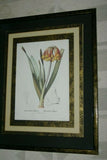 REDOUTE CYRTANTHUS KNYSNA LILY HAND PAINTED SIGNED FRAME 4x MATS FLOWER PRINT