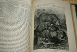 SOLD Very Rare Antique Book from the Library of Natural History by Richard Lydekker from 1901: "The Ungulates, Ruminants & More" (Leather Bound with Gold Leaf Edges) Mammals RIVERSIDE PUBLISHING COMPANY, 1901 CHICAGO, no foxing