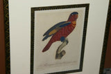 Barraband Archival Art Limited Edition 94/950 Folio Lithograph Printed on the highest archival quality heavy woven stock available, in hand painted mats (3) & HP. signed Frame: Lori Parrot  24 ½” X 20”