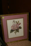 SIGNED UNIQUE DETAILED ARTIST HAND PAINTED FRAME MATTED REDOUTE PRINT Pancratium