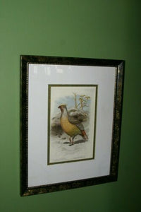 FROM  FIRST EDITION OF CASSELL BOOK OF BIRDS FROM 1869 ANTIQUE ORIGINAL H.C  LITHOGRAPH "SANGUINE FRANCOLIN” 19TH CENTURY PRINT PROFESSIONALLY DOUBLE-MATTED AND FRAMED IN HAND PAINTED FRAME SIGNED BY THE ARTIST COLLECTOR DECOR