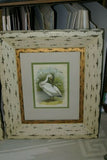 ORIGINAL ANTIQUE 1878 FOLIO PLATE FROM JACOB H. STUDER'S POPULAR ORNITHOLOGY, "THE BIRDS OF NORTH AMERICA" 1878 ILLUSTRATED FROM LIFE BY THEODORE JASPER.  CHOOSE EGRET OR PELICAN OR BOTH Professionally framed in custom frames with 2 acid free mats