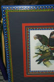 1978 AUSTRALIAN BIRD LITHOGRAPH FROM “PARROTS OF THE WORLD” BY BILL COOPER PROFESSIONALLY (X5) HAND PAINTED MATS AND FRAMED IN UNIQUE SIGNED HAND PAINTED FRAME 27" X 22,5" BEAUTIFUL DESIGNER WALL ART DÉCOR DFPO74