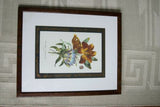 SIGNED DETAILED ARTIST HAND PAINTED FRAME MATS REDOUTE PRINT RE8 WATERLILY LIS