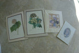 4 Double Matted Redoute Floral & Angel Art Prints 120.00 retail value Wall Decor