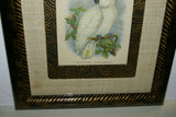 UNIQUE OLD LITHOGRAPH  ART BLUE EYED COCKATOO CACATUA OPHTHALMICA  PROFESSIONALLY X2 SILK MATTED & FRAMED IN SIGNED HAND PAINTED FRAME + GIFT OF A FREE BEAUTIFUL MATTED BARRABAND PARROT PRINT. PRICED AT FRACTION OF RETAIL