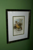 FROM  FIRST EDITION OF CASSELL BOOK OF BIRDS FROM 1869 ANTIQUE ORIGINAL H.C  LITHOGRAPH "SANGUINE FRANCOLIN” 19TH CENTURY PRINT PROFESSIONALLY DOUBLE-MATTED AND FRAMED IN HAND PAINTED FRAME SIGNED BY THE ARTIST COLLECTOR DECOR