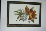 SIGNED DETAILED ARTIST HAND PAINTED FRAME MATS REDOUTE PRINT RE8 WATERLILY LIS