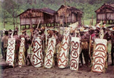 Rare Art War Warrior Arrow Deflector Tribal Shield Kupkein Sepik New Guinea 9A6