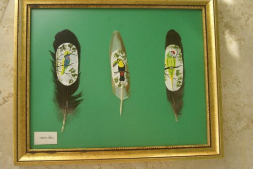 done Framed Original 3 Miniature Birds Hand Painted on Feathers Hummer Parrot Toucan.