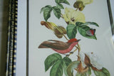 VERY RARE Professionally 2x Matted & in Hand-painted Frame  21`" x 15"  Authentic Limited Edition 1960 Descourtilz Folio of Scarlet Flycatcher or Moucherolle Rubin Bird Plate 31 from Brazil (DES9)