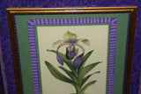 Lindenia Limited Edition Print: Paphiopedilum, Cypripedium x Fraseri Hort, Lady Slipper AOS (Maroon) Orchid Collector Art (B2)