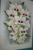 Lindenia Limited Edition Print: Dendrobium Galliceanum (White and Yellow) Orchid Collector Art (B2)