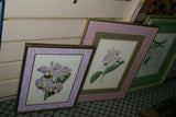 Lindenia Limited Edition Print: Cattleya Skinneri Lindl Var Oculata Hort (Fushia) Orchid Collector Art (B4)