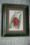 RARE unique 1883 ORIGINAL AUTHENTIC  LINDEN BOTANICAL ENGRAVING DOUBLE PLATE  FROM L’ Illustration Horticole VOL 30: t. 480: Aechmea  plant TRIPLE-MATTED AND CUSTOM  FRAMED IN DELICATE HAND PAINTED SIGNED FRAME