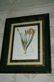 REDOUTE CYRTANTHUS KNYSNA LILY HAND PAINTED SIGNED FRAME 4x MATS FLOWER PRINT