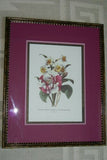 2 Professionally Framed Limited Edition Redoute bouquet Prints Home Designer Art