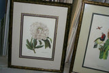 SIGNED UNIQUE DETAILED ARTIST HAND PAINTED FRAME MATTED REDOUTE PRINT RE10 PEONY