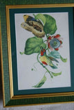 Professionally Matted & Framed in Hand-painted Frame 19”x 15” VERY RARE Authentic Limited Edition 1960 Descourtilz Folio of Tropical Orange-Breasted Barbet or Cabezon Elegant Bird Plate 13 from Brazil (DES12)