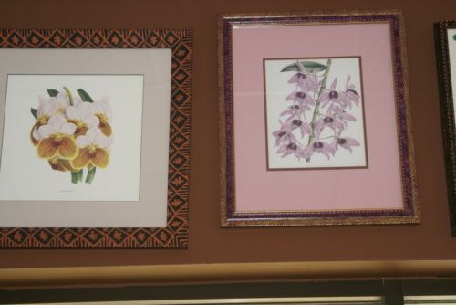 Lindenia Limited Edition Orchid Art Print: Rhynchostylis