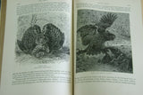 SOLD Rare Antique Book from the Library of Natural History by Richard Lydekker from 1901- "Birds" Macaws hoopoes parrots frigate condors owls (Leather Bound with Gold Leaf Edges) ) THE RIVERSIDE PUBLISHING COMPANY, 1901 CHICAGO