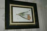 REDOUTE CYRTANTHUS KNYSNA LILY HAND PAINTED SIGNED FRAME 4x MATS FLOWER PRINT