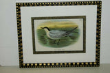 19th century TERN ANTIQUE AUTHENTIC 1897 ORIGINAL PRINT LLOYD'S NATURAL HISTORY BY BOWDLER SHARPE EDWARD LLOYD LIMITED, DOUBLE MATTED AND FRAMED PROFESSIONALLY IN UNIQUE HAND PAINTED FRAME SIGNED BY ARTIST, MAT ALSO HANDPAINTED