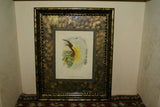 ANTIQUE AUTHENTIC MID 1800’S LITHOGRAPH 19TH C. PARADISEA PAPUANA OR LESSER BIRD OF PARADISE FRAMED IN CUSTOM HAND PAINTED SIGNED FRAME WITH 3 ACID FREE HAND PAINTED MATS