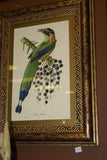 VERY RARE 1960 Rare Descourtilz Limited Edition Original Folio Lithograph Brazilian Bird Plate 60: REICHNOW'S MOTMOT OR MOMOT HOUTOU (Brazil)