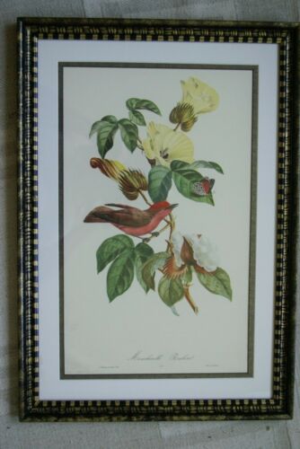 VERY RARE Professionally 2x Matted & in Hand-painted Frame  21`